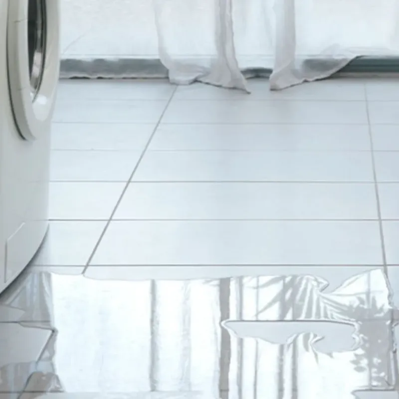Appliance Leak Cleanup in Monticello, WI