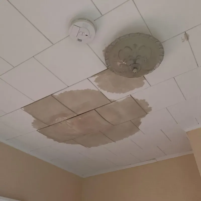 Ceiling Water Damage Repair in Monticello, WI