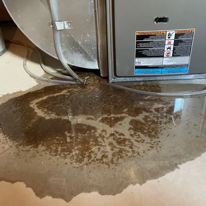 Pipe Burst and Leak Restoration in Monticello, WI